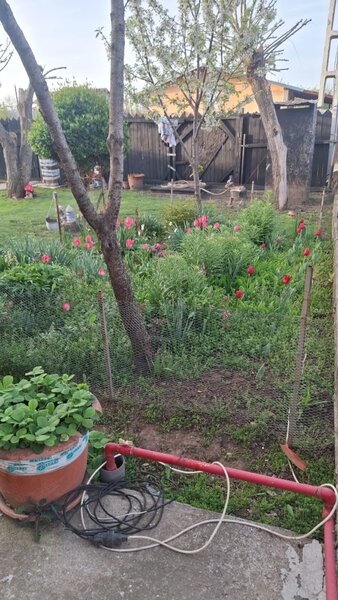 Prahova, Casa In apropiere de Ploiesti